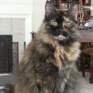 Meet your Posher, Lori